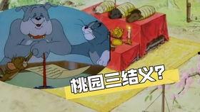 桃园 搞笑,笑料百出，欢乐无限