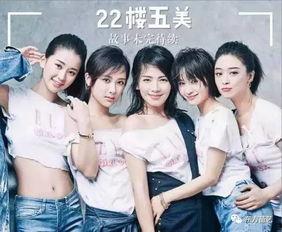 欢乐颂2电视剧演员表