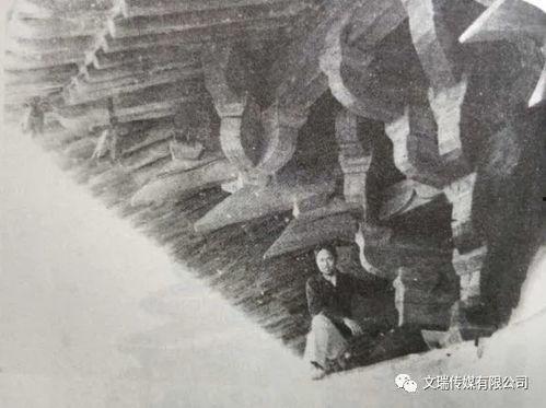 应县张清个人资料