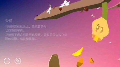 娱乐新闻的背景音乐,揭秘热门娱乐新闻背后的音乐故事