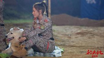 神犬小七3演员表全部,众星云集，实力派与新生代同台竞技