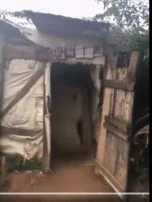 蛮搞笑邪恶动图,笑翻全场！邪恶动图带你领略搞笑魅力